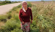 Hataylı Şirin’in tek geçim kaynağı olan hayvanları birer birer öldü