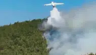 Balıkesir Susurluk’ta orman yangını yeniden alevlendi