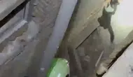 Burdur'da itfaiyeyi şaşırtan kedi operasyonu