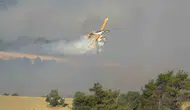 Çanakkale ormanları iki ayda küle döndü