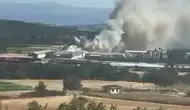 Mudanya’da tavuk çiftliği alevlere teslim oldu