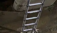 İzmit'te dereye düşen kedi kurtarma ekibine iş bırakmadı