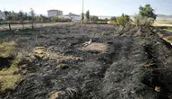 Sivas Altınyayla’da bahçe yangını evlere ulaşmadan durduruldu