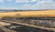Yozgat Sorgun’da elektrik telleri tarlayı küle çevirdi