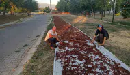 Sarıgöl'de sıcak hava üzümü hızlandırdı