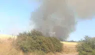 Çanakkale Ezine’de orman yangınına havadan ve karadan müdahale ediliyor