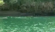 Şırnakta piknik faciası Dicle Nehrinde bot alabora oldu