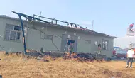Edirne Meriç'te anız yangını ormanı sardı