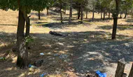 Ankara'da kardeş cinayeti Alacak kavgası ölüme götürdü