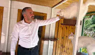 Ankara kedilerini 27 ülkeden canlı izliyorlar
