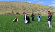 Bayburtlu çiftçinin tarlaları dijital takibe alındı
