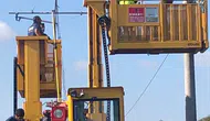 Küçükçekmece'de leylek ölümlerine karşı TCDD'den bilimsel çözüm arayışı