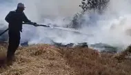 Beyşehir’de sazlık yangını ormana ulaştı, ekipler 5 saat mücadele etti