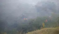 Malatya Pütürge'de ormanlık alanda yangın paniği