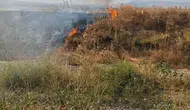 Şuhut kırsalında anız yangını korkuttu