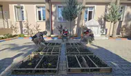 Traktörün römorku adeta kuş kafesine dönmüş: 2 bin saka kuşuna dev ceza