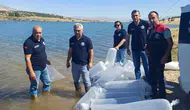 Burdur’un göletlerine binlerce yavru sazan bırakıldı