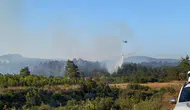 Çanakkale Bayramiç’te orman yangını alarmı