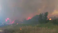 Çanakkale Ezine’de orman yangını paniği