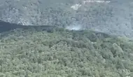 Edremit ormanlarında yangın paniği yaşanıyor