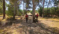 Seydikemer’de bir kişi ormanlık alanda aranıyor