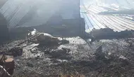 Niğde’de çiftlik yangını 250 hayvan ve tonlarca yem kül oldu