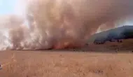 Tunceli'de orman sınırında korkutan yangın