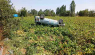 Şuhut yolunda direksiyon hakimiyeti kaybedilince araç tarlaya uçtu
