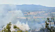 Çanakkale Ezine’de orman yangını korkuttu