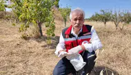 Tekirdağlı çiftçilere tarla faresi uyarısı geldi
