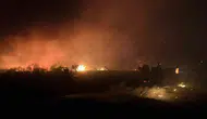 Serik’te rüzgarın büyüttüğü yangında 30 dönüm zarar gördü, sera kurtarıldı