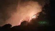 Üründü’de rüzgarla büyüyen yangında sera son anda kurtarıldı
