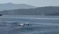 Bodrum Türkbükü’nde yunuslar tatilcileri şaşkına çevirdi