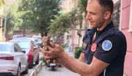 İnegöl’de boruya sıkışan kediye itfaiye eli uzandı