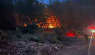 Alanya ormanlarında gece yarısı korkutan yangın