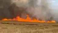 Sivas Şarkışla’da binlerce dönüm buğday tarlası kül oldu
