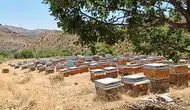 Diyarbakır peteklerinde yeni sezon bereketi başladı