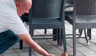 İnegöl'de çay bahçesine konuk olan sincap vatandaşları şaşırttı