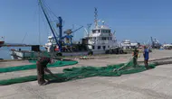 Balıkçılar yeni sezona hazır Palamut bol, tüketim az