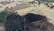 Denizli’de 100 dönümlük arazi küle döndü