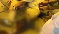Beyoğlu’nda köpek kavgası kanlı bitti