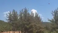 İslahiye’de orman yangını korkuttu
