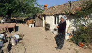 Hortum vurdu aile bahçede yaşıyor