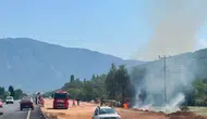 Muğla Menteşe yolunda korkutan yangın kontrol altına alındı