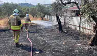 Hatay'da zeytinlikleri saran alevlere karşı zamana karşı yarış