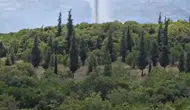 Dilovası'nda orman yangını paniği