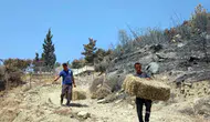 Seydikemer yangınında zarar gören üreticiye destek eli uzandı
