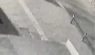 Fatih’teki cinayetin zanlıları Didim’de kıskıvrak yakalandı