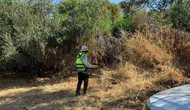 Bodrum’da yangın önlemleri için ot temizliği seferberliği