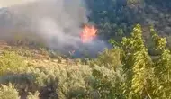 İslahiye ormanlarında korkutan yangın kontrol altına alındı